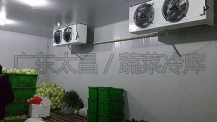 建造保鮮冷庫與設(shè)計(jì)方案全解析 從基礎(chǔ)認(rèn)知到技術(shù)咨詢